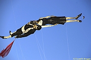 32 FESTIVAL CERVIA 2012 - 066